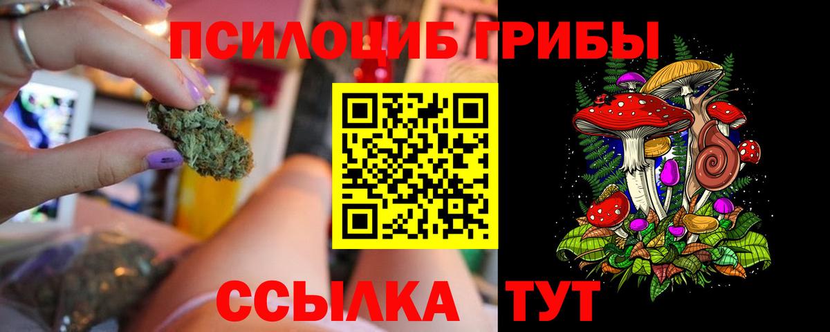 Галлюциногенные грибы Psilocybe  Вход с VPN  Калач-на-Дону  Галлюциногенные грибы Psilocybe 